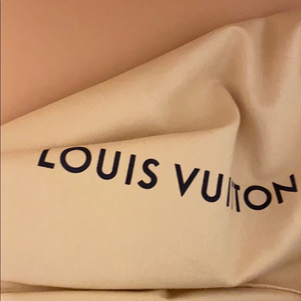 Louis Vuitton Daily Pouch—- sold out everywhere - Picture 2 of 9
